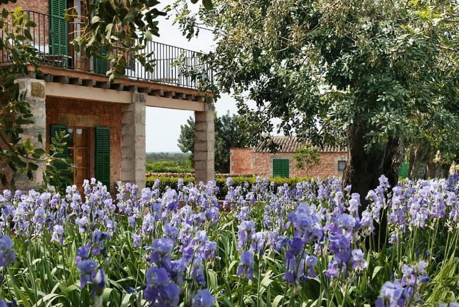Casa Rural Son Bernadinet Campos  Exterior foto